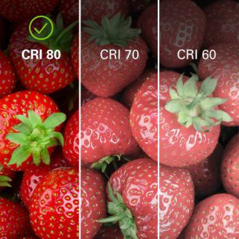  MZD LED 40W P45 E27 WW FR ND 1 