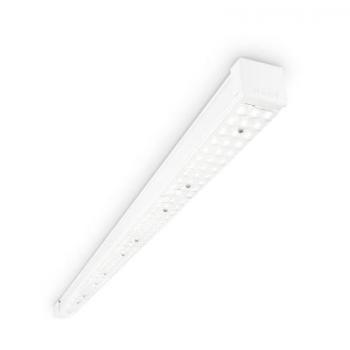  4MX400 491 LED55S/840 PSD DA20 