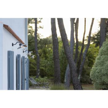  BELCOUR N8 CLAIR BLANC 001 