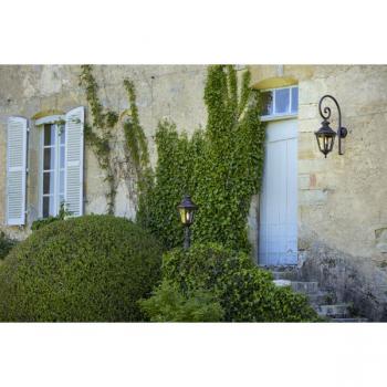  LOUIS 13 N7 PATINE DOREE 009 