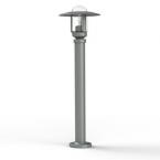  NEWPARK N5 CLAIR  GRIS 023 