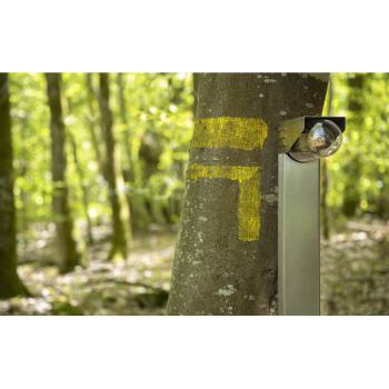  RP195 T1 N�1 CLAIR VERT 109 