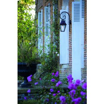  VIEILLE FRANCE N�4 ROUILLE 046 