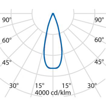  TYK+30 81 C/M 830 AN96 