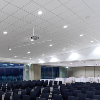  DL220LED SB 46 C/EW 830 WH9016 