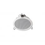  Haut-parleur plafond 2 voies 