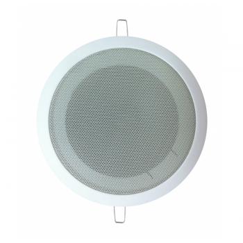  Haut-parleur plafond 