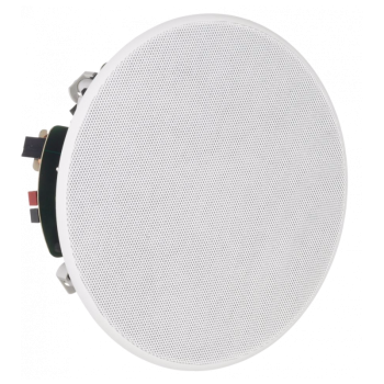  Haut-parleur plafond 