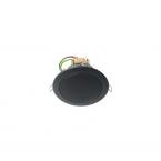  Haut-parleur plafond 