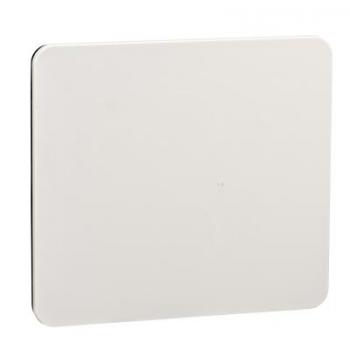  PLATINE 90X100 ADAPT.DIAM 