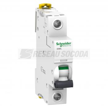  IC60L DISJ 1P 1A COURBE Z 