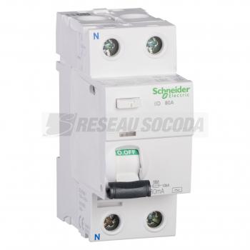  IID 2P 100A 30MA AC 
