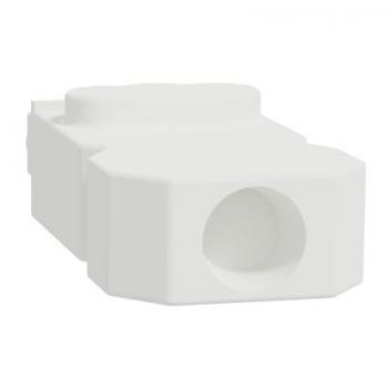 Conn MiniWieland fem droit x5 
