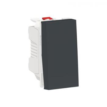 Bouton-pous NO 10A rap 1m Anth 