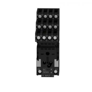  embase RXM contacts spars 