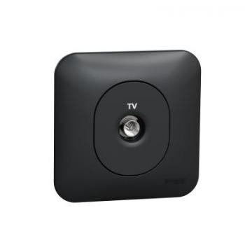  **PRISE TV SIMPLE + PLAQUE 