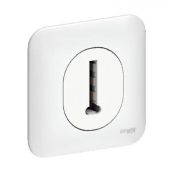  **CONJONCTEUR TEL 8P + PLQ 
