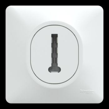  Conjoncteur tel 8P avec plaque 