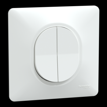  Double VV Blanc griffes plaque 