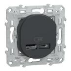  Chargeur USB A+A 12W Anth 