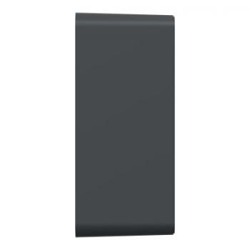  Cadre Saillie 36mm Anthracite 