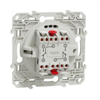 ODACE DBL VV BLC RAP VIS 