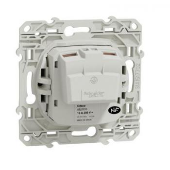  **ODACE PC 2P ANTH VIS RAP 
