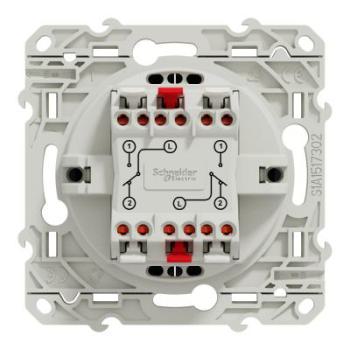  **ODACE DBL VV COB VIS RAP 