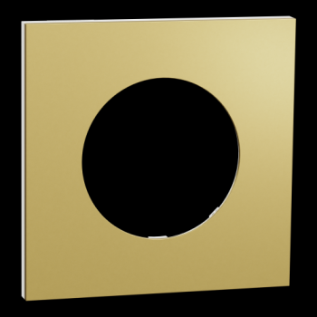  Odace M. plaque 1 poste laiton 