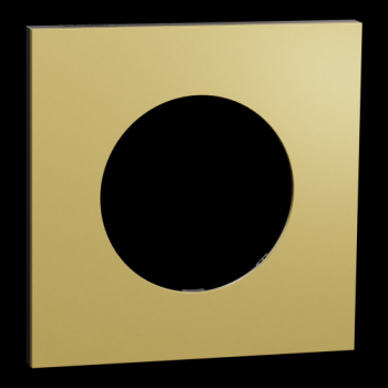  Odace M. plaque 1 poste laiton 