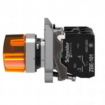  XB4BK125M5BAANT LUMINEUX 