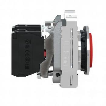  BP imp flush dpas rouge 1O+1F 