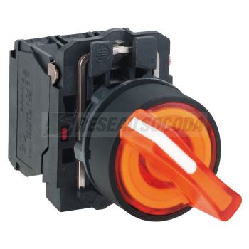  BOUTON TOURNANT LUMINEUX 