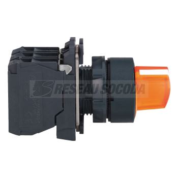 BOUTON TOURNANT LUMINEUX 