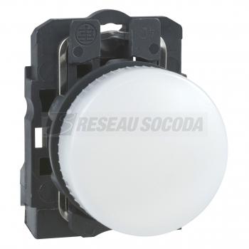  VOYANT LUMINEUX DEL 24 V 