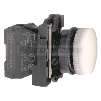 VOYANT LUMINEUX DEL 24 V 