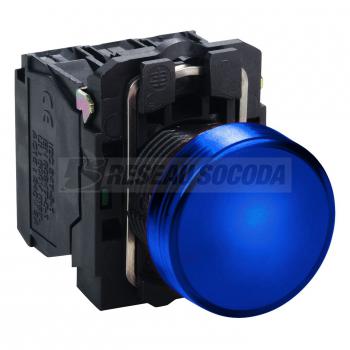  VOYANT LUMINEUX DEL 24 V 