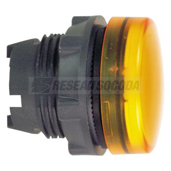  TETE VOYANT LUMINEUX 