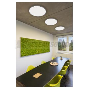  PANEL 60 plafonnier en saillie 