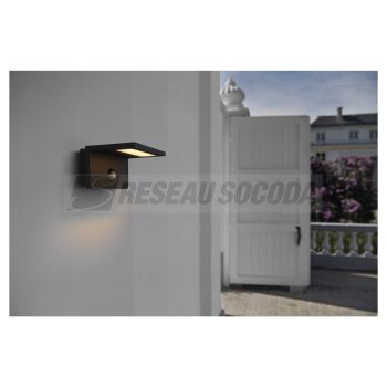  ANGOLUX S, applique avec dtec 
