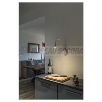  DIO FLEX PLATE QPAR51 blanc 