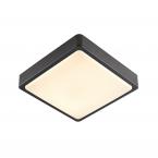  AINOS SENSOR, anthracite 