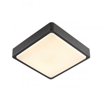  AINOS SENSOR, anthracite 