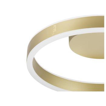 ONE 40 CL PHASE up/down brass 