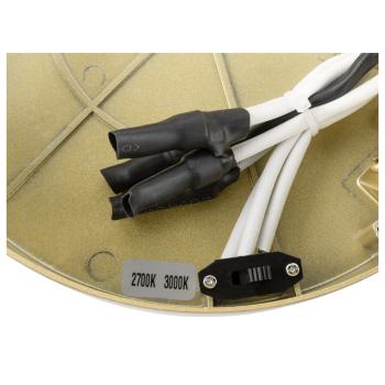  ONE 40 CL PHASE up/down brass 