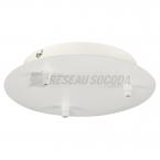  FITU 3, patOre rond, blanche 
