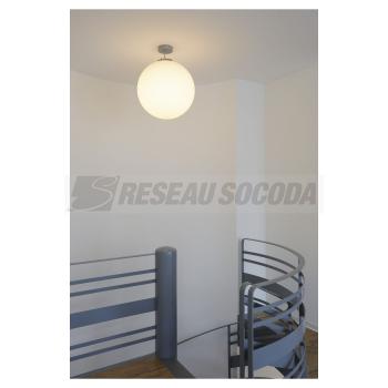  ROTOBALL 50, gris argent/blanc 