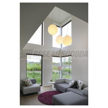  ROTOBALL 50, gris argent/blanc 