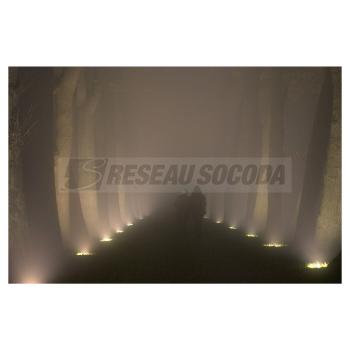  DASAR ES111, rond, inox 316 