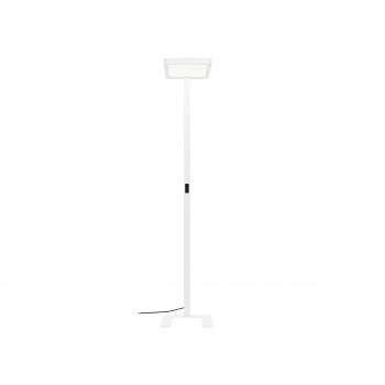  AREUM F 15klm 840 Blanc 